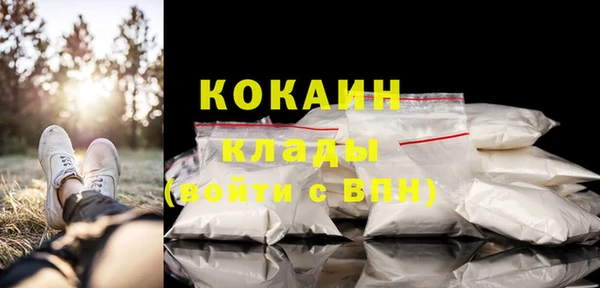 a pvp Бородино