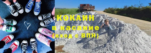дмт Лиски