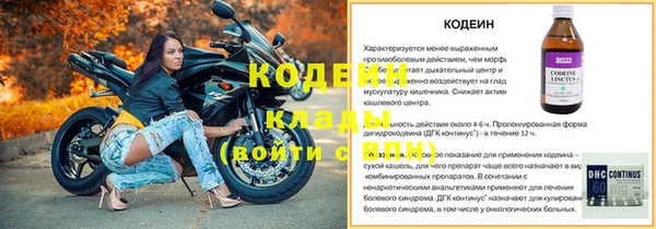индика Фёдоровский