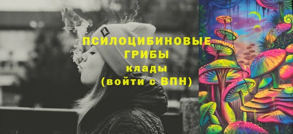 дмт Лиски