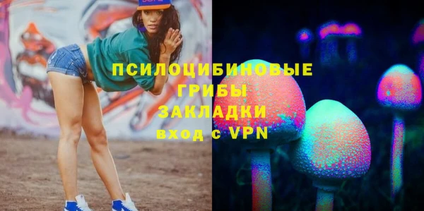дмт Лиски